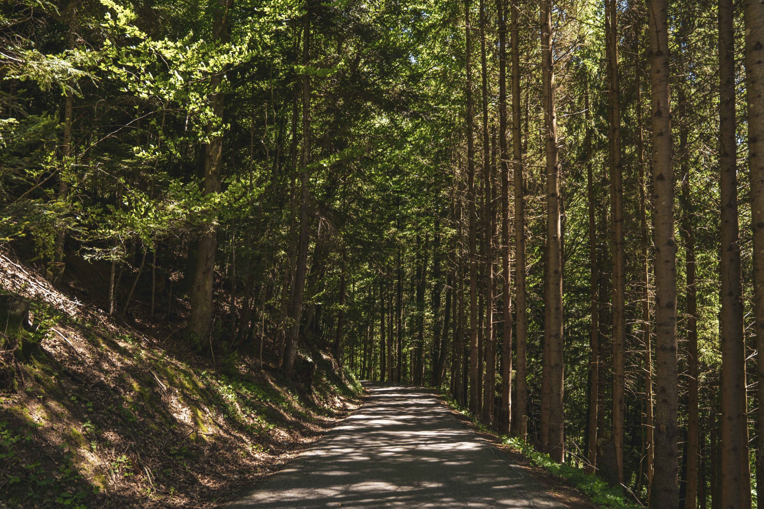 Wanderweg
