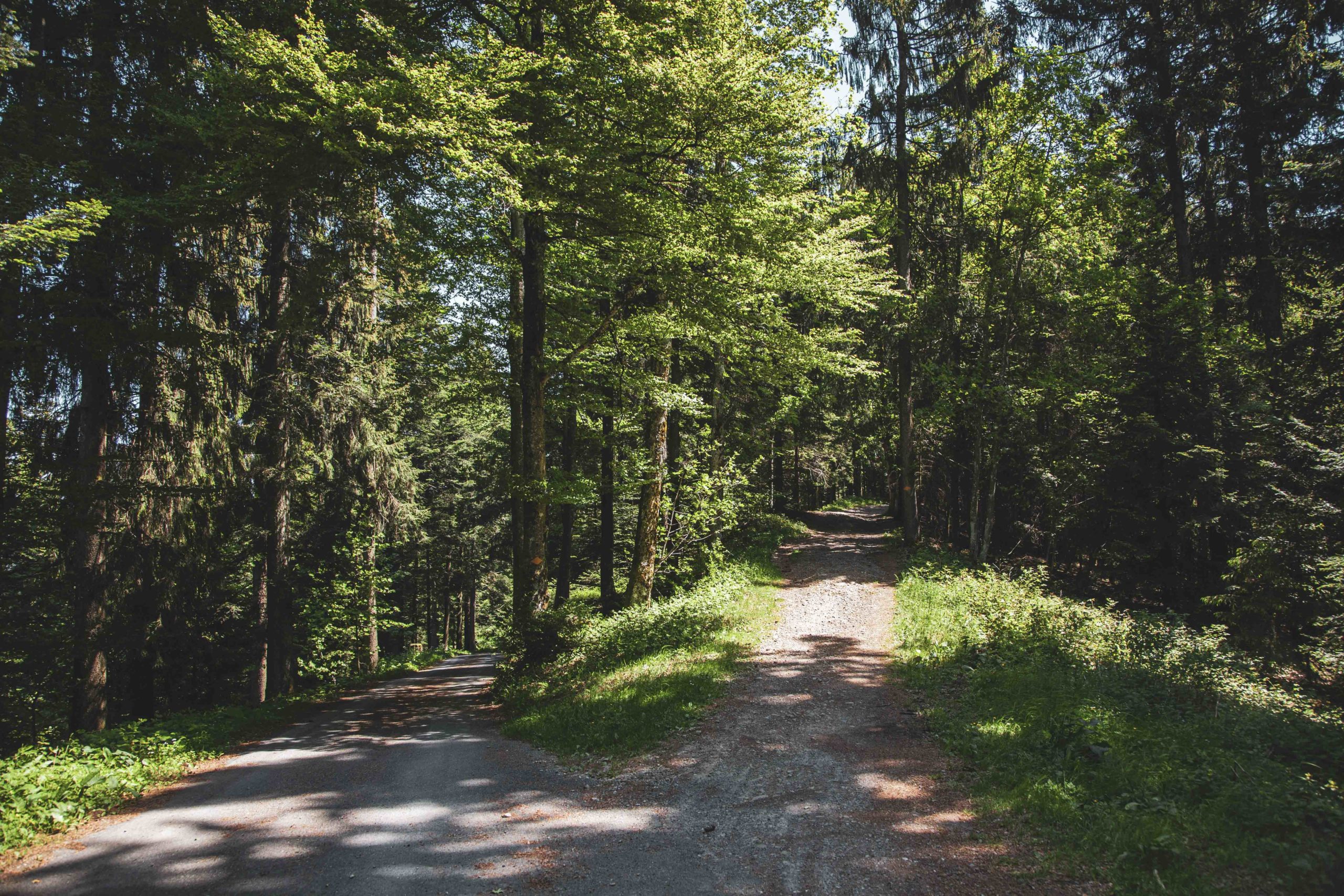 Wanderweg