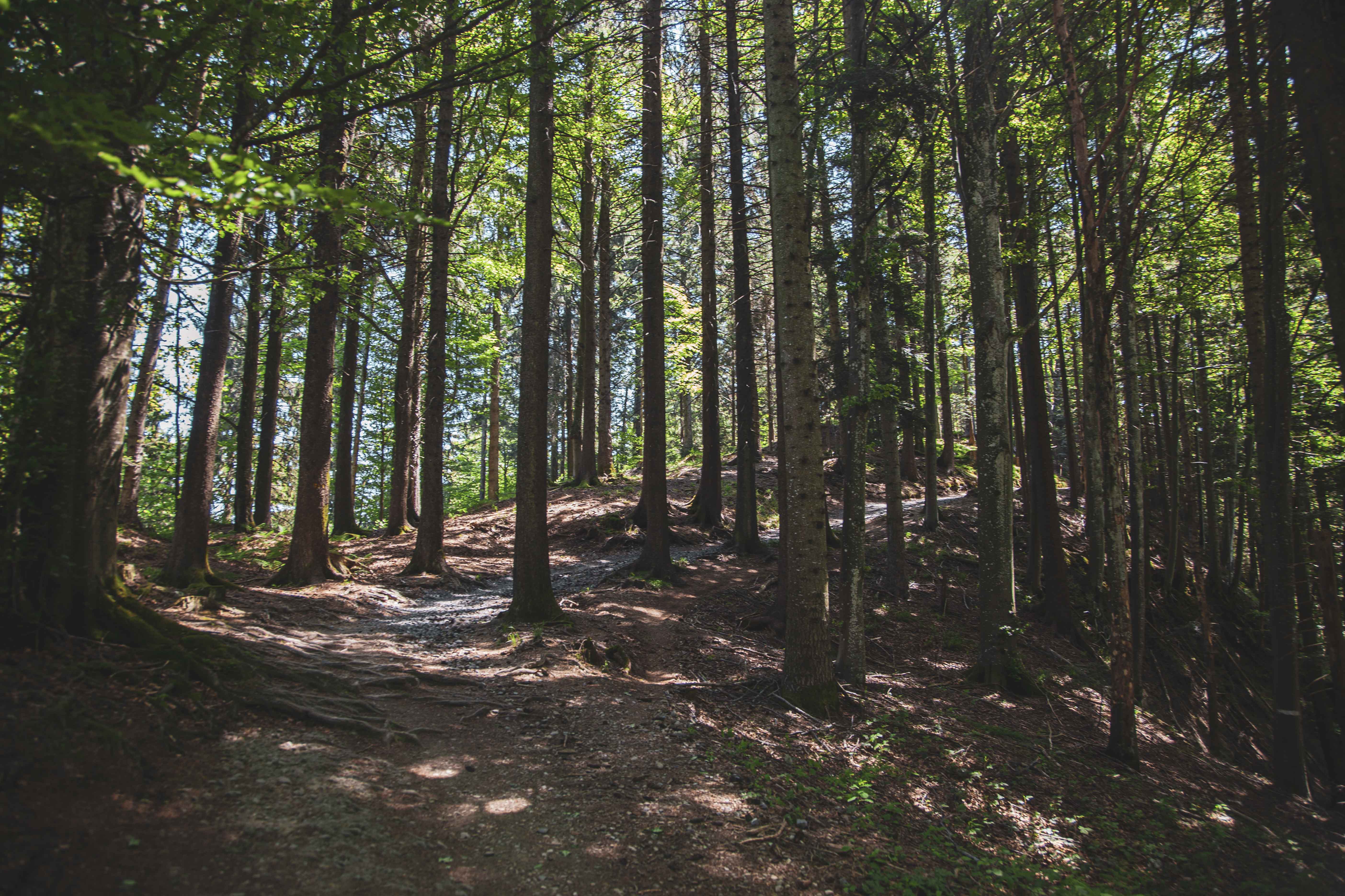 Route Wildspitz