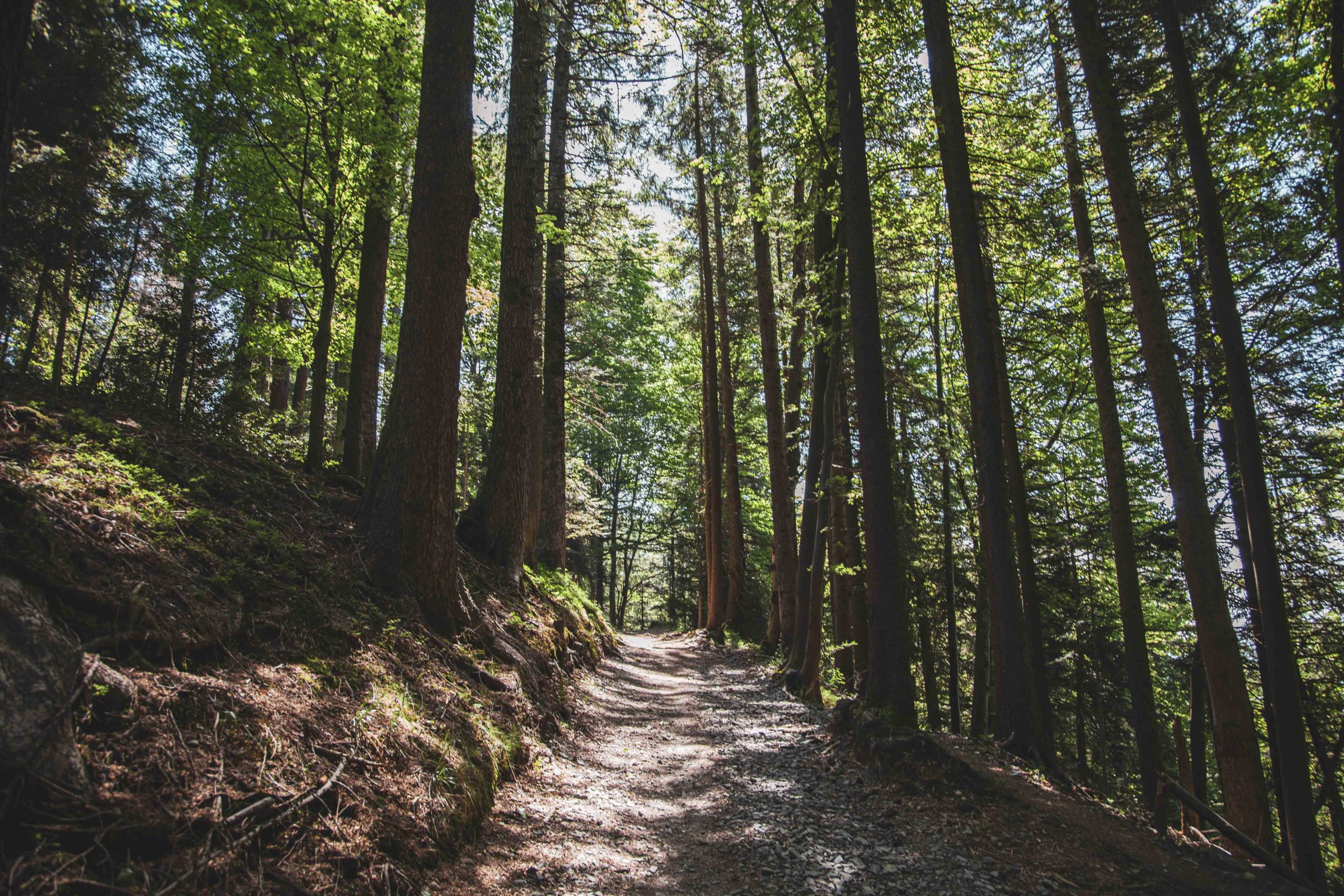 Wanderweg